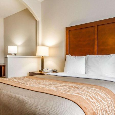 Comfort Inn & Suites Oakland Airport Kültér fotó