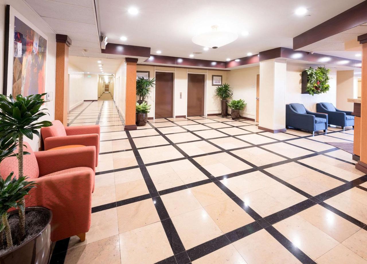 Comfort Inn & Suites Oakland Airport Kültér fotó